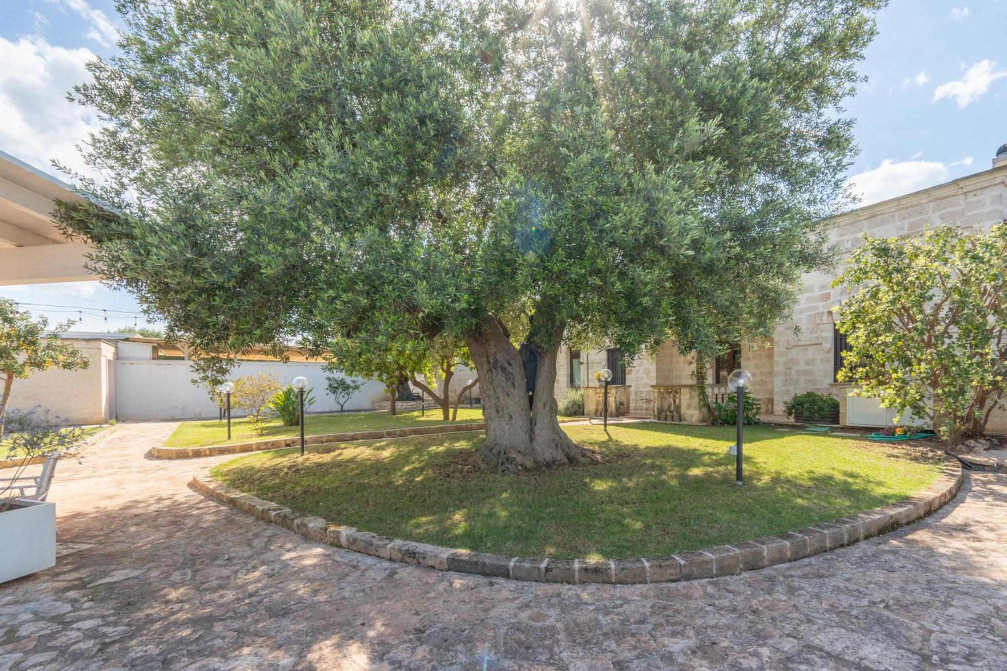 Dimora Tauro B&B Fasano Zewnętrze zdjęcie